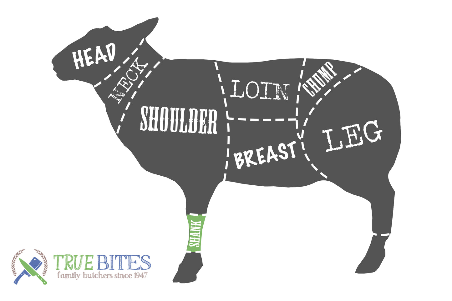 lamb cutting diagram with shank highlighted