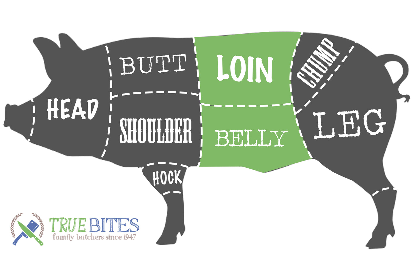pork cutting diagram with loin and belly highlighted