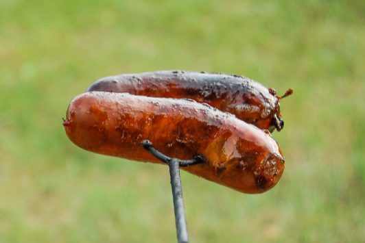 true bites pork sausage