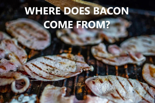 Where Does Bacon Come From?