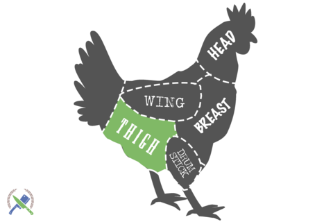 chicken cutting diagram highlighting the thigh area
