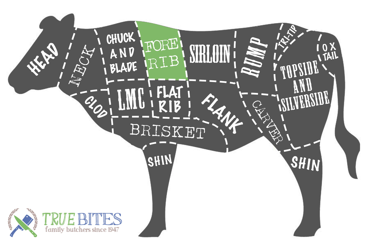 beef cutting diagram with fore rib highlighted 