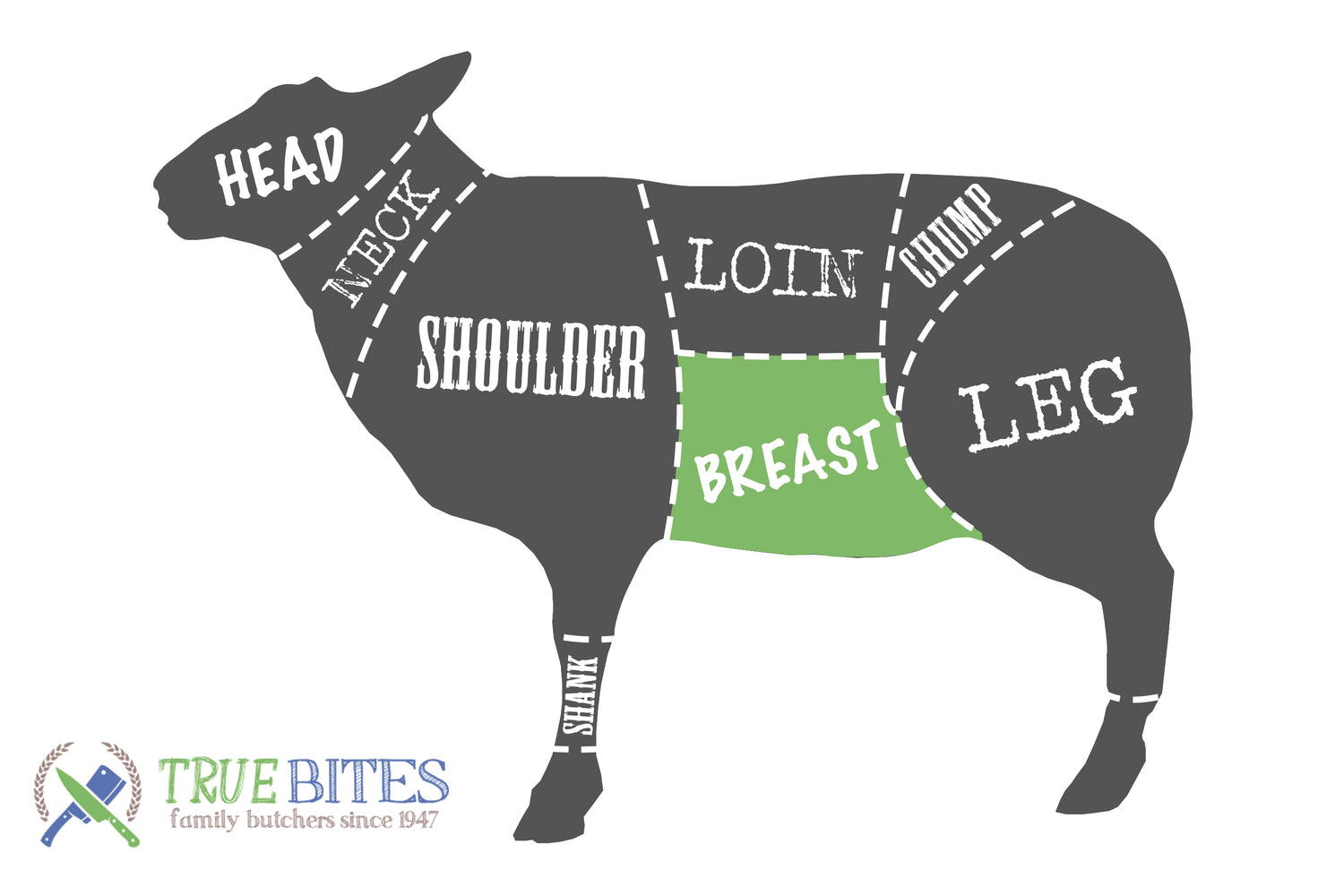 lamb cutting diagram highlighting breast 