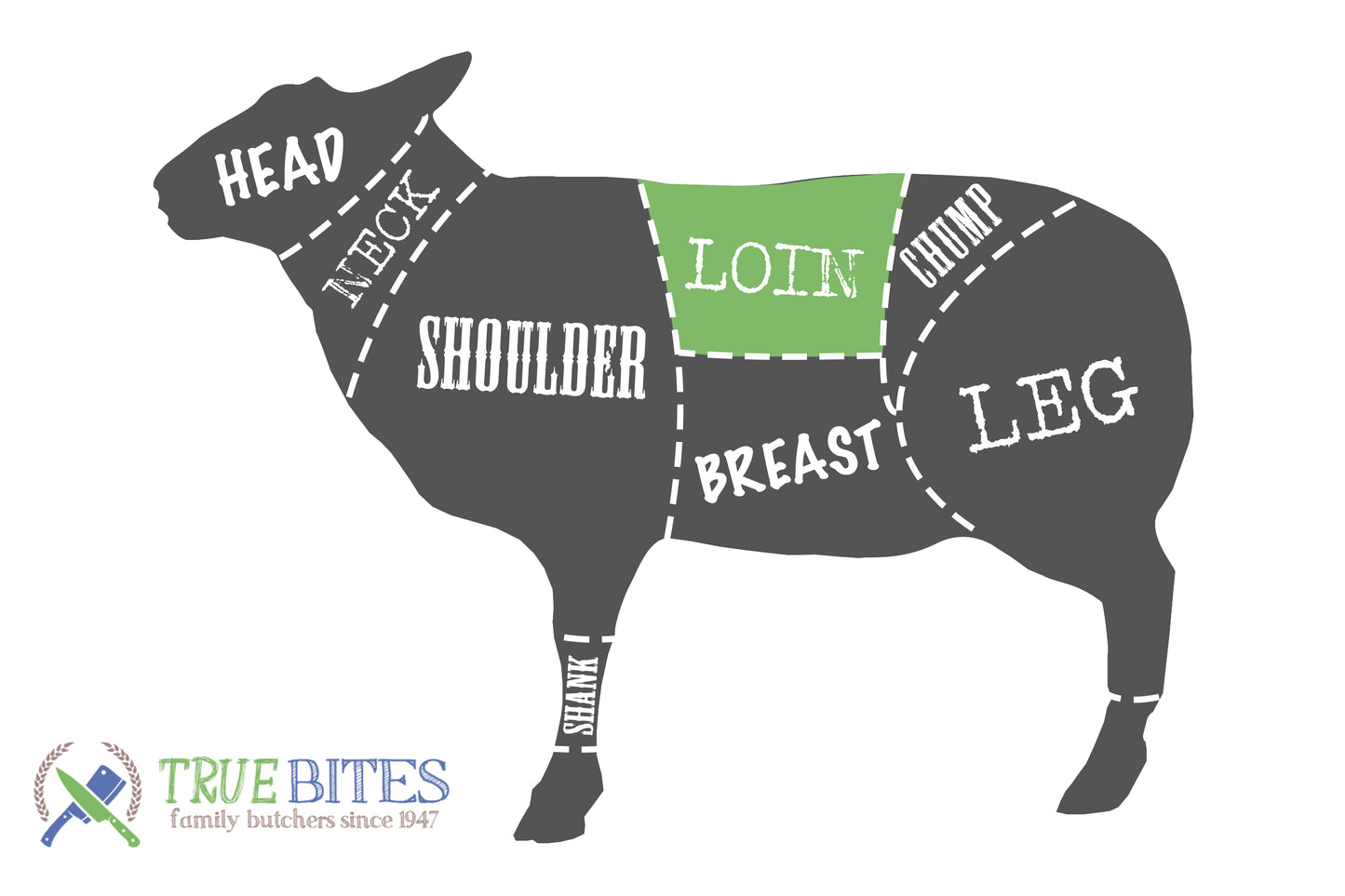 lamb cutting diagram with loin highlighted 
