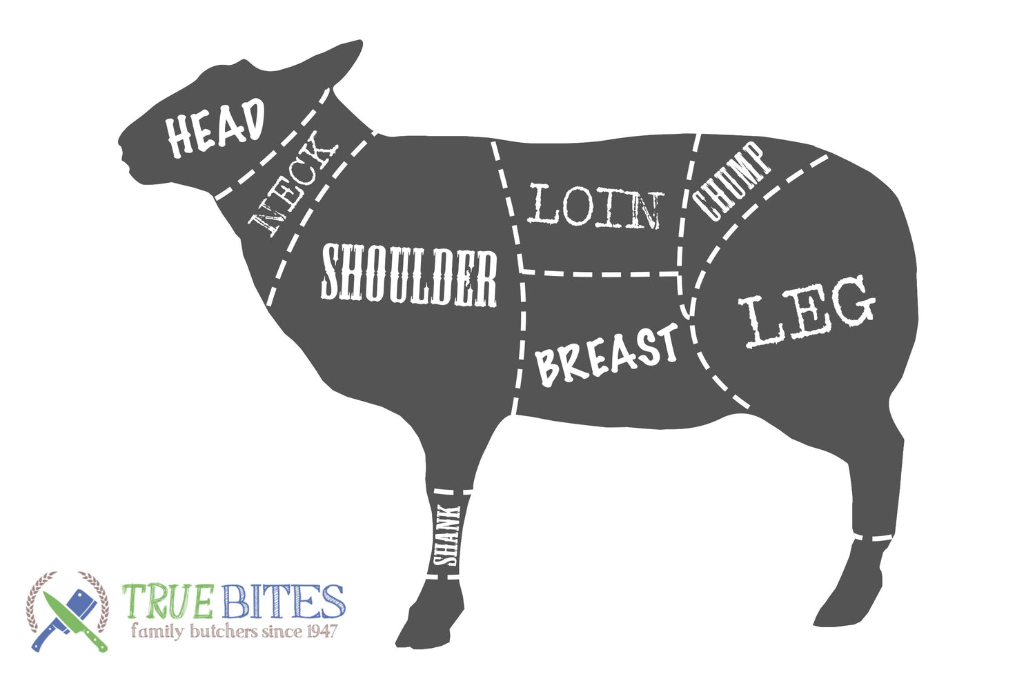 lamb cutting diagram