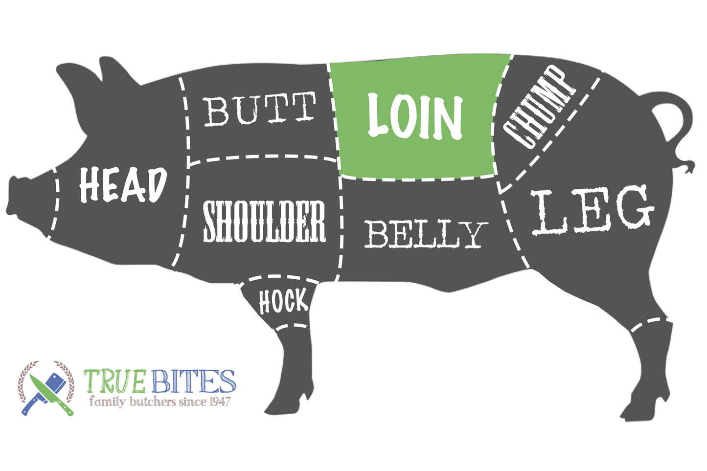 pork cutting diagram with the loin highlighted 