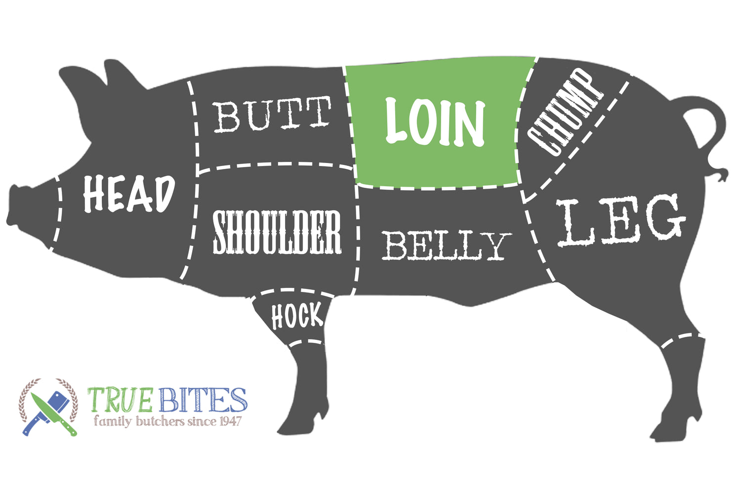pork cutting diagram with the loin highlighted 